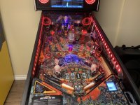 IMG_0384.jpeg