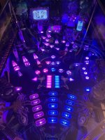 IMG_0381.jpeg
