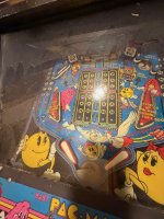 IMG_1865.jpeg