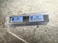 IMG_5496.jpeg