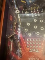 IMG_2223.jpeg