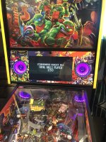 IMG_9601.jpeg