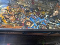 IMG_5131.jpeg