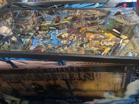 IMG_5129.jpeg