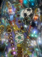 IMG_2856.jpeg