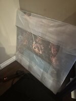 IMG_2895.jpeg