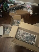 IMG_2896.jpeg
