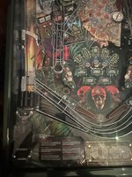IMG_2900.jpeg