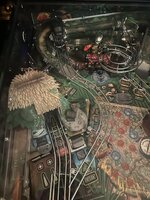 IMG_2901.jpeg