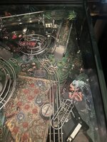 IMG_2902.jpeg