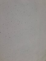IMG_6365.JPG