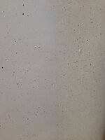 IMG_6367.JPG