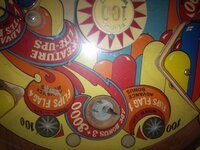 IMG_20160203_060852.jpg