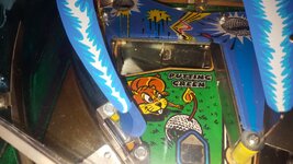 20160816_135106.jpg