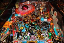 IMG_3777.JPG