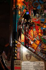 IMG_3780.JPG