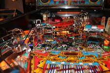 IMG_3786.JPG