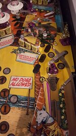 20170220_115910.jpg