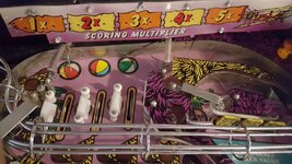 20170220_115936.jpg