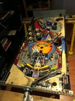 IMG_3892.JPG