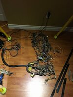 IMG_6665.JPG