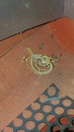 20170226_214644.jpg