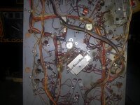 WP_20170409_009.jpg