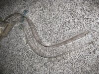 IMG_2526.JPG