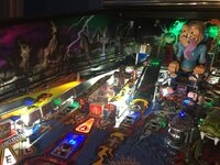 IMG_5265.JPG