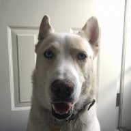 smiley