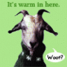 fantasygoat