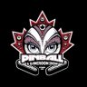 ottawapinball